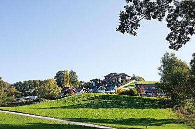 真急了？《怪物猎人：荒野》推出全新鹭鹰龙补丁!