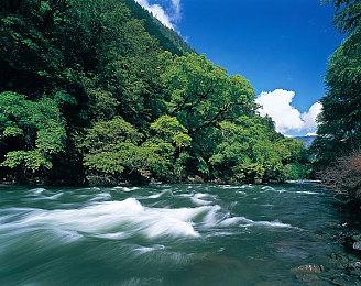 【第一视角】《永劫无间》职业联赛NBPL常规赛7月8日