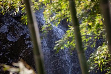 《叛乱：沙漠风暴》军阀行动内容更新现已登陆主机